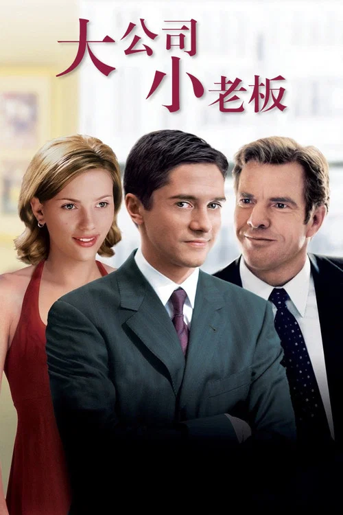 大公司小老板海报