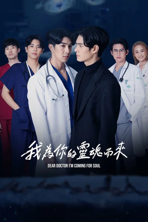 我为你的灵魂而来海报