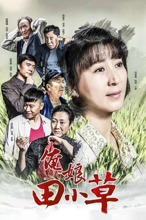 俺娘田小草海报