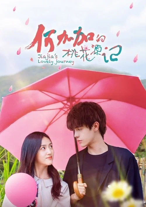 何加加的桃花源记海报