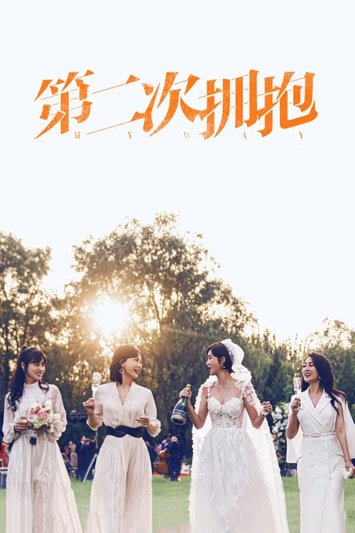 第二次拥抱海报