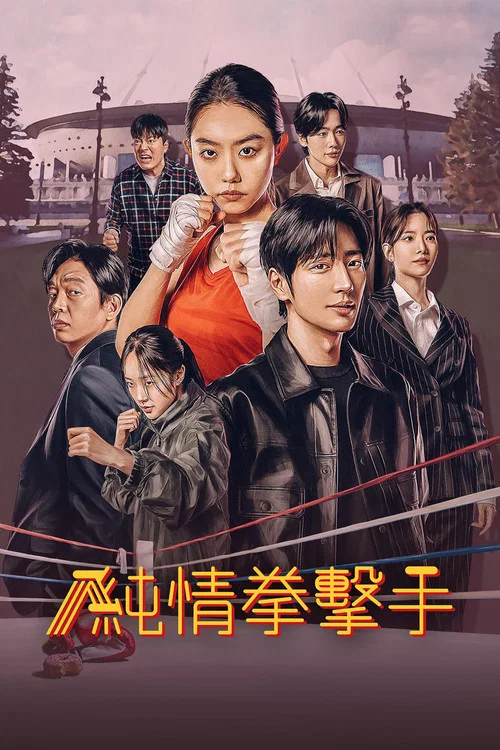 纯情拳击手海报
