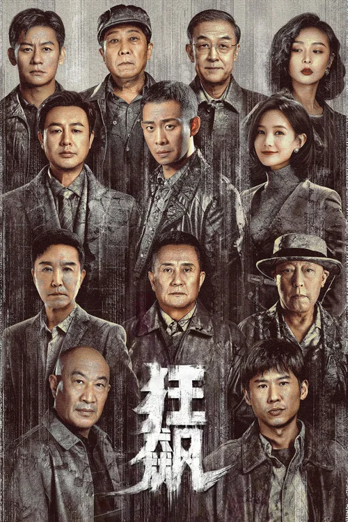 狂飙海报
