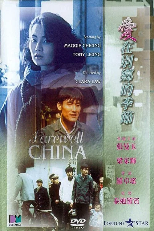 爱在别乡的季节海报