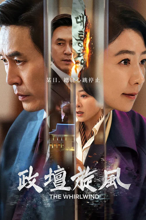 政坛旋风海报
