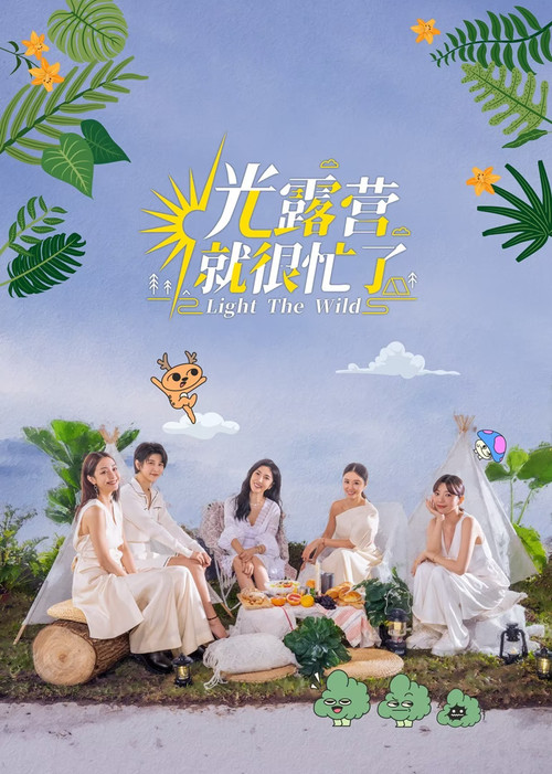 光露营就很忙了海报