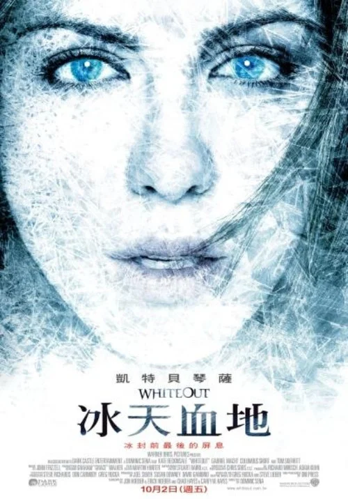 雪盲海报