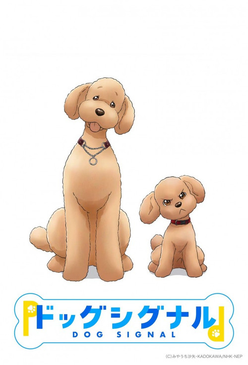 爱犬指令海报