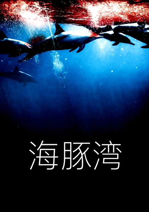 海豚湾海报