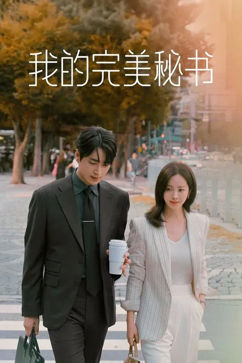 我的完美秘书海报
