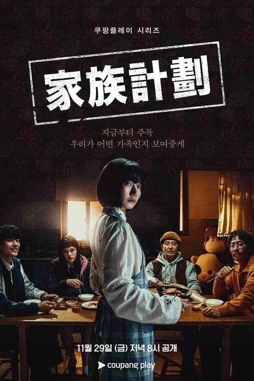 家族计划海报