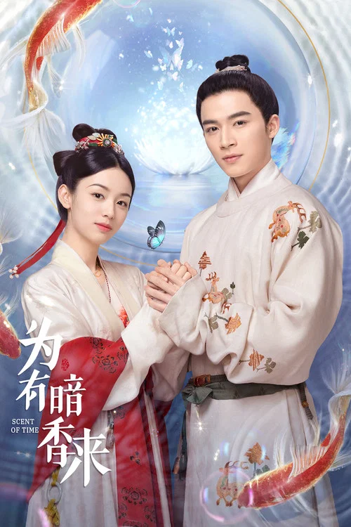 为有暗香来海报