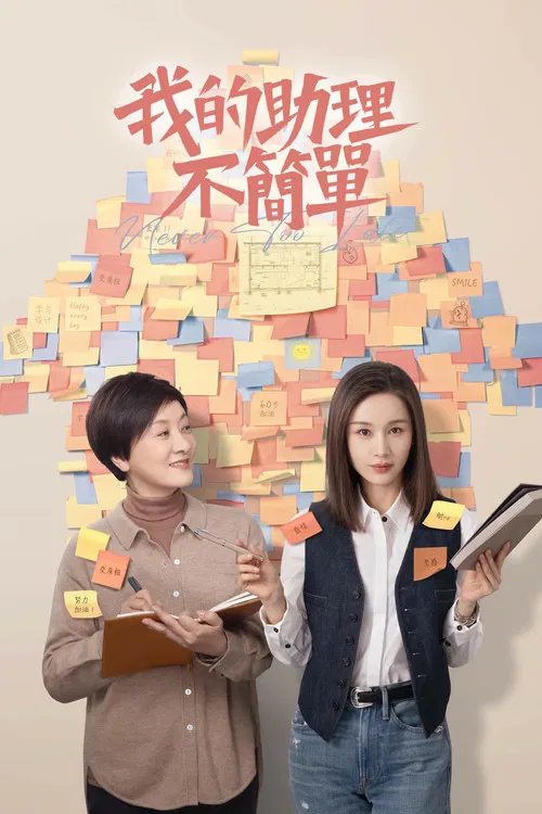我的助理不简单海报