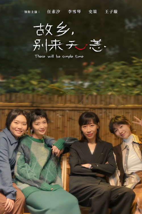 故乡，别来无恙海报