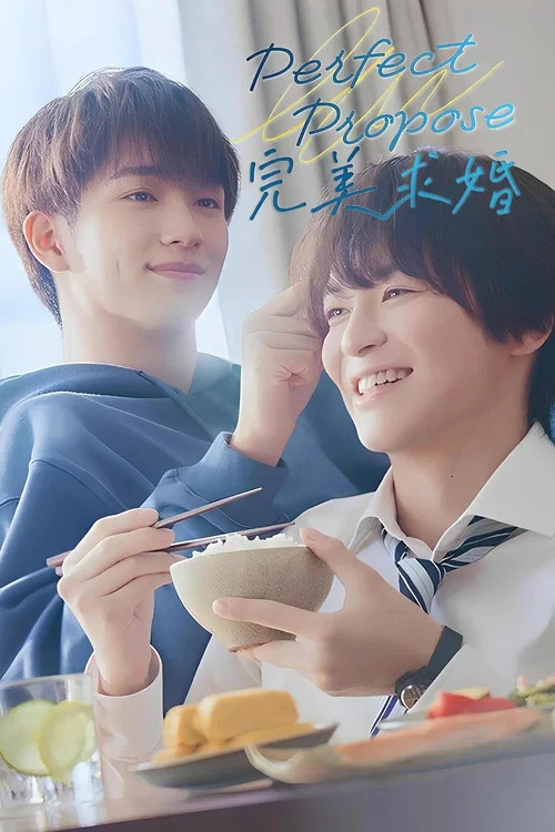 完美求婚海报