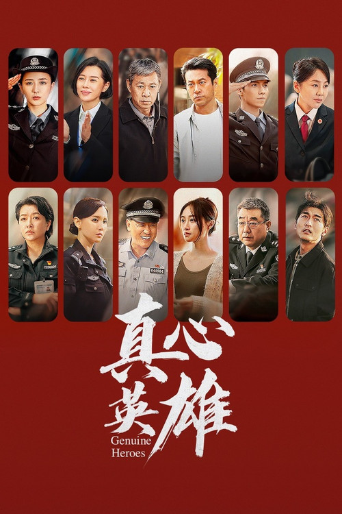 真心英雄海报