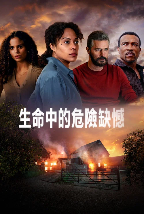 生命中的危险缺憾海报