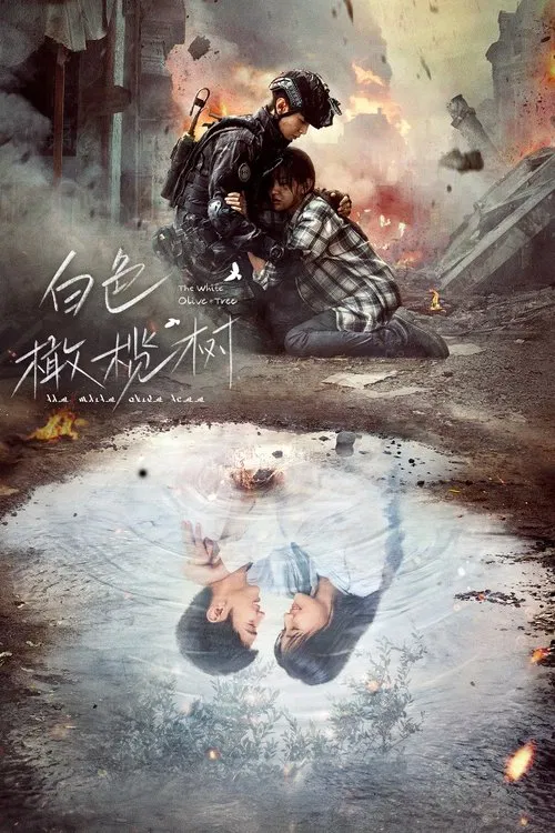 白色橄榄树海报