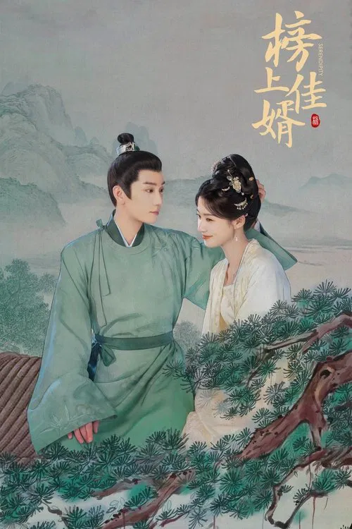 榜上佳婿海报