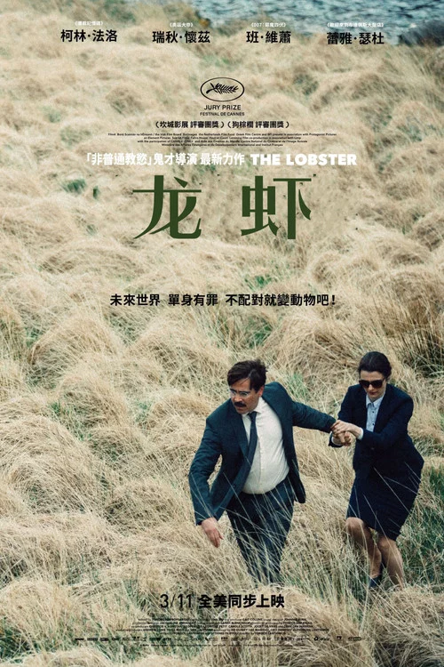 龙虾海报