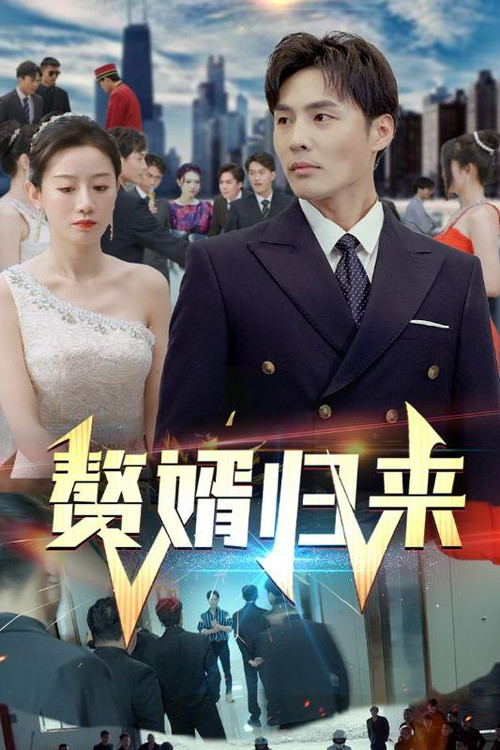 赘婿归来海报