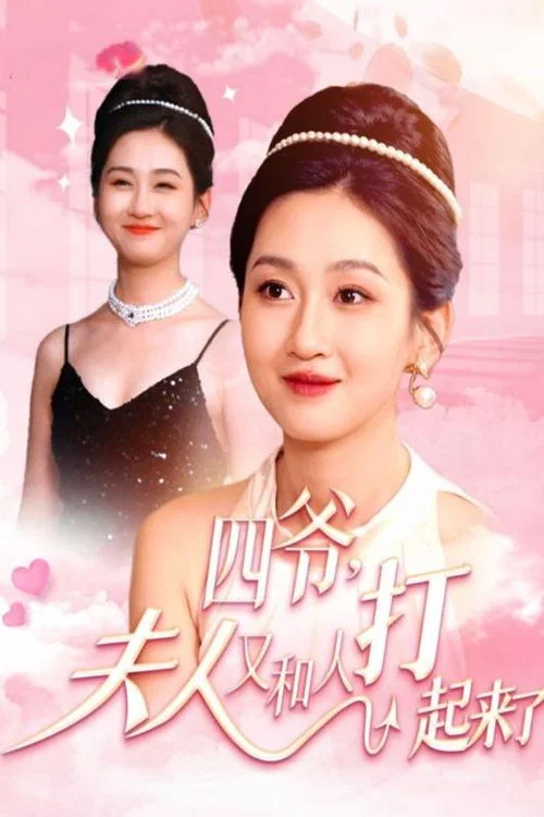 四爷，夫人又和人打起来了海报