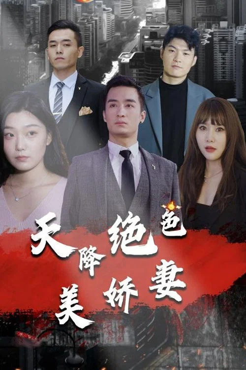 天降绝色美娇妻海报