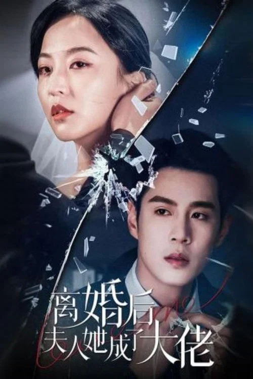 离婚后夫人她成了大佬海报