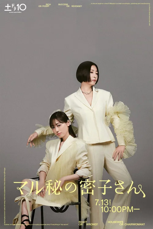 绝密的密子小姐海报