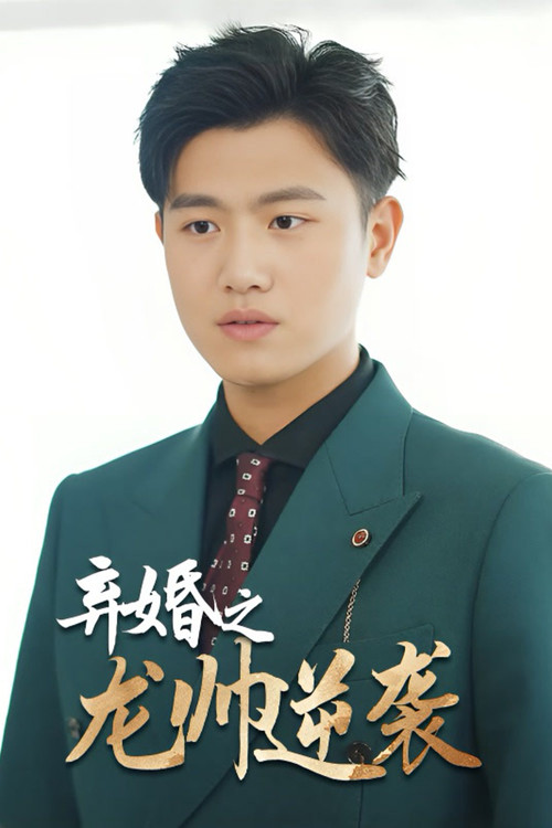 弃婚之龙帅逆袭海报
