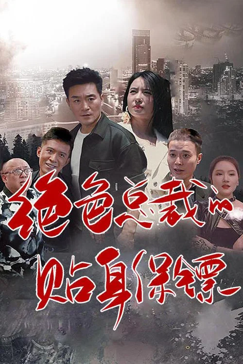 绝色总裁的贴身保镖海报