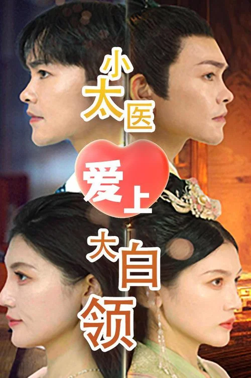 小太医爱上大白领海报