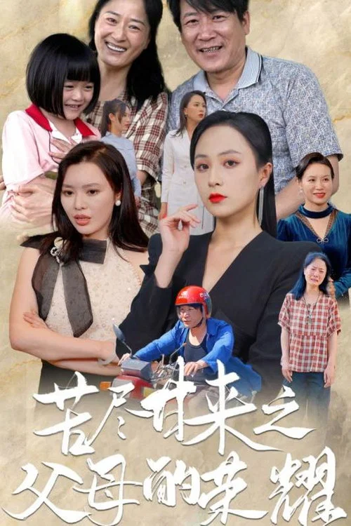 苦尽甘来之父母的荣耀海报