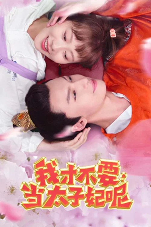 我才不要当太子妃呢海报