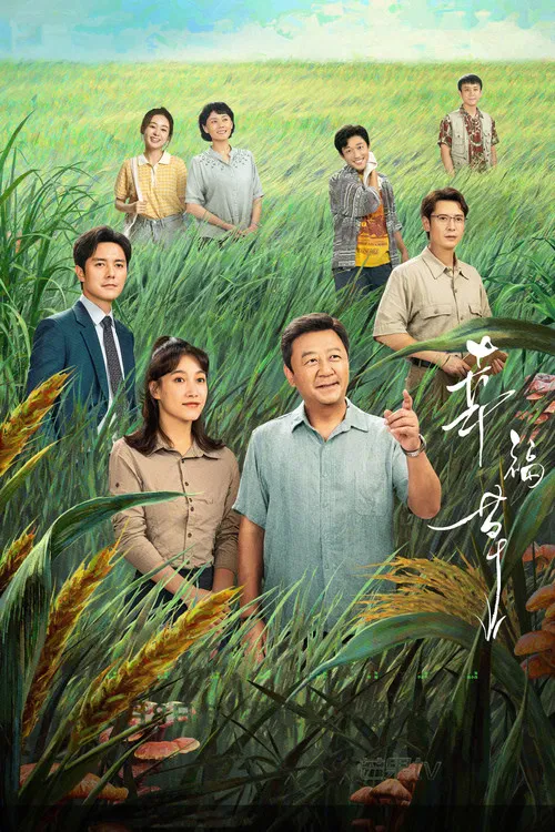 幸福草海报