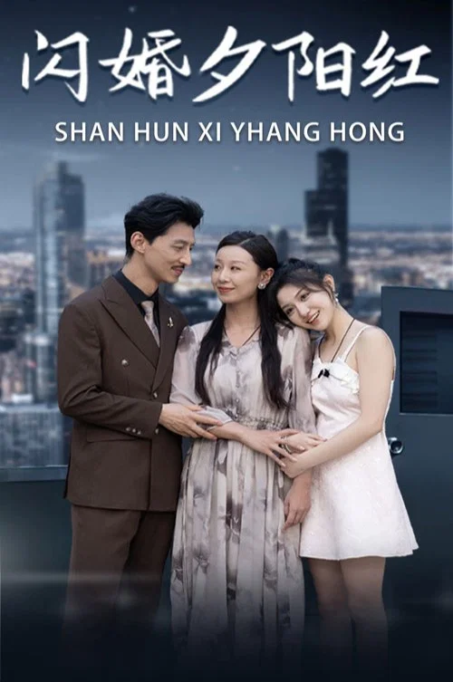 闪婚夕阳红海报