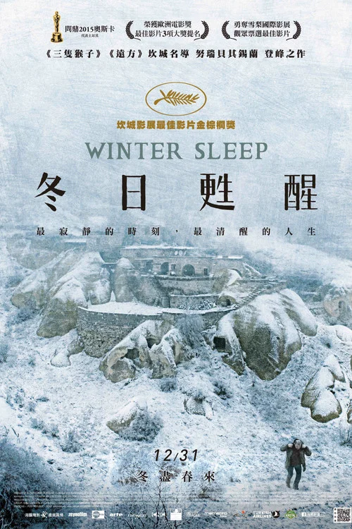 冬眠海报