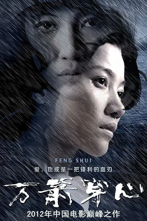 万箭穿心海报