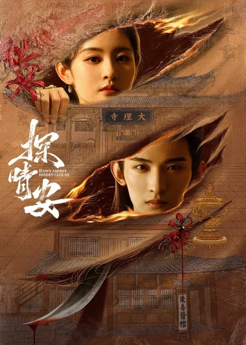 探晴安海报