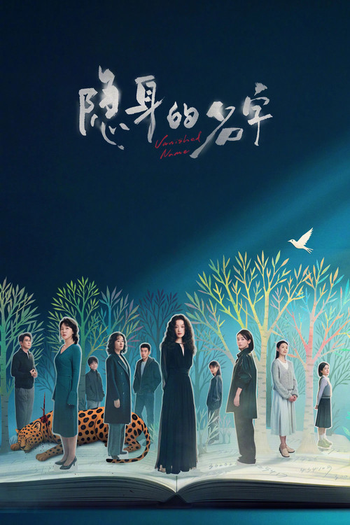隐身的名字海报