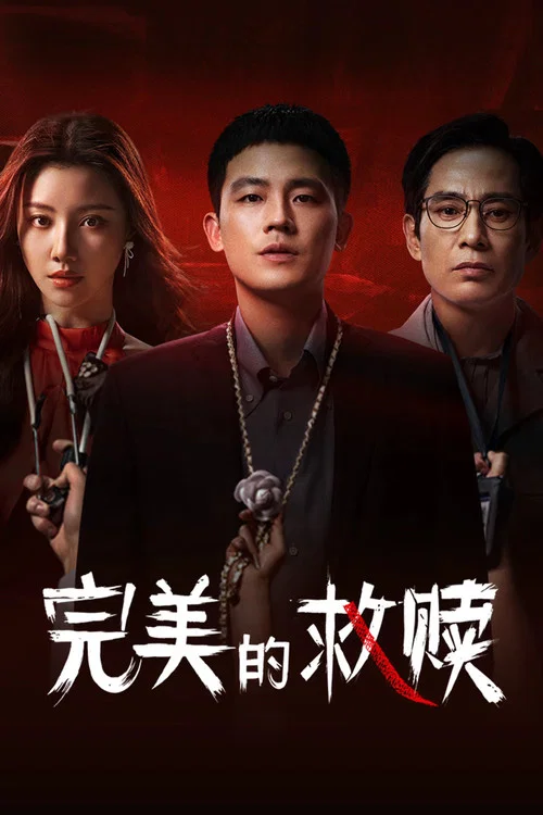 完美的救赎海报