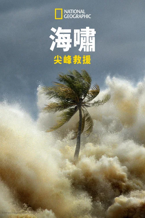 海啸：与时间赛跑海报