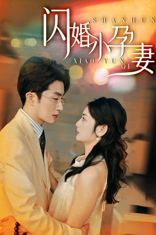 闪婚小孕妻海报