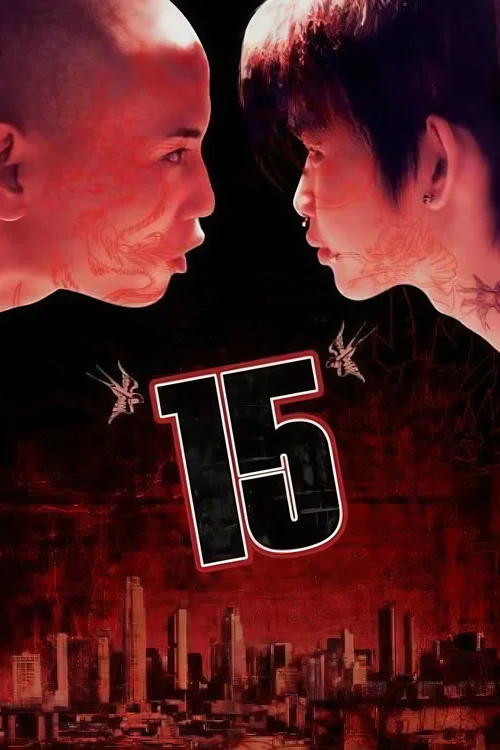 15海报