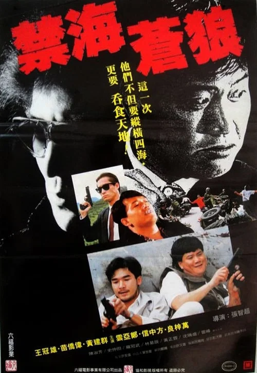 禁海苍狼海报