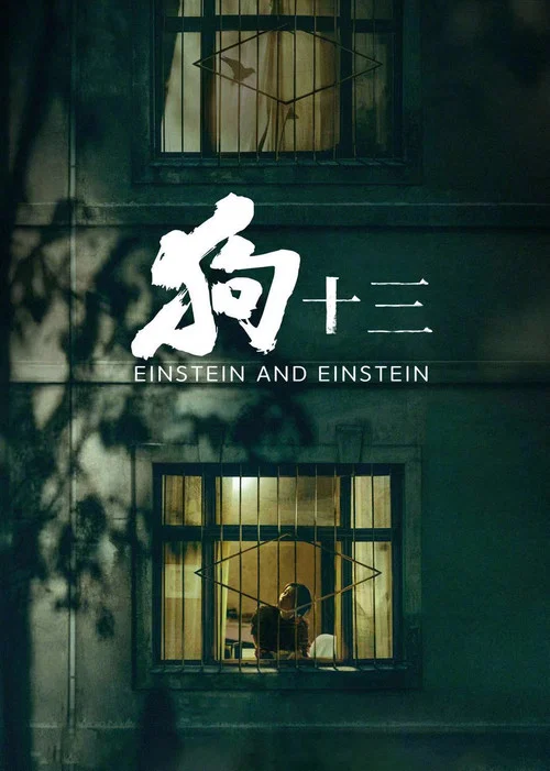狗十三海报