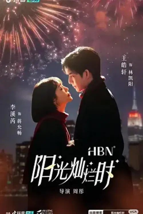 阳光灿烂时海报