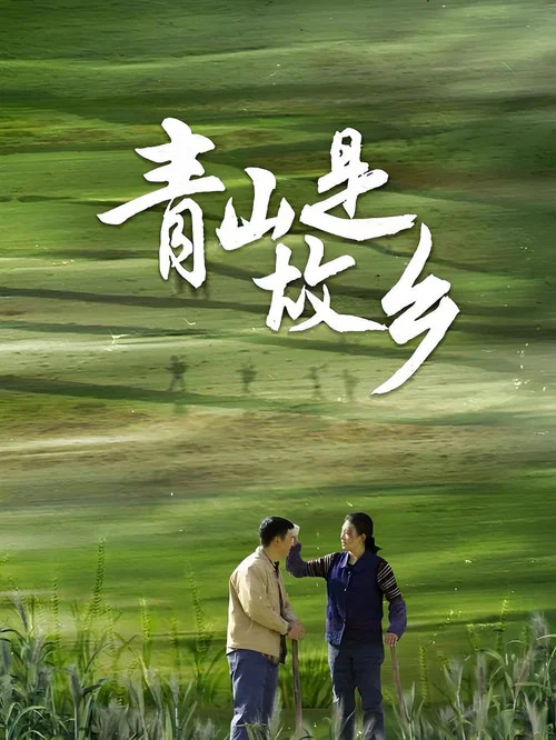 青山是故乡海报