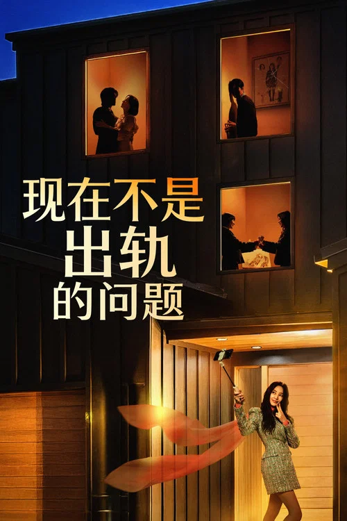 现在不是出轨的问题海报