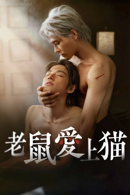 老鼠爱上猫海报